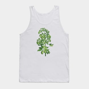 Starleaf plant Tank Top